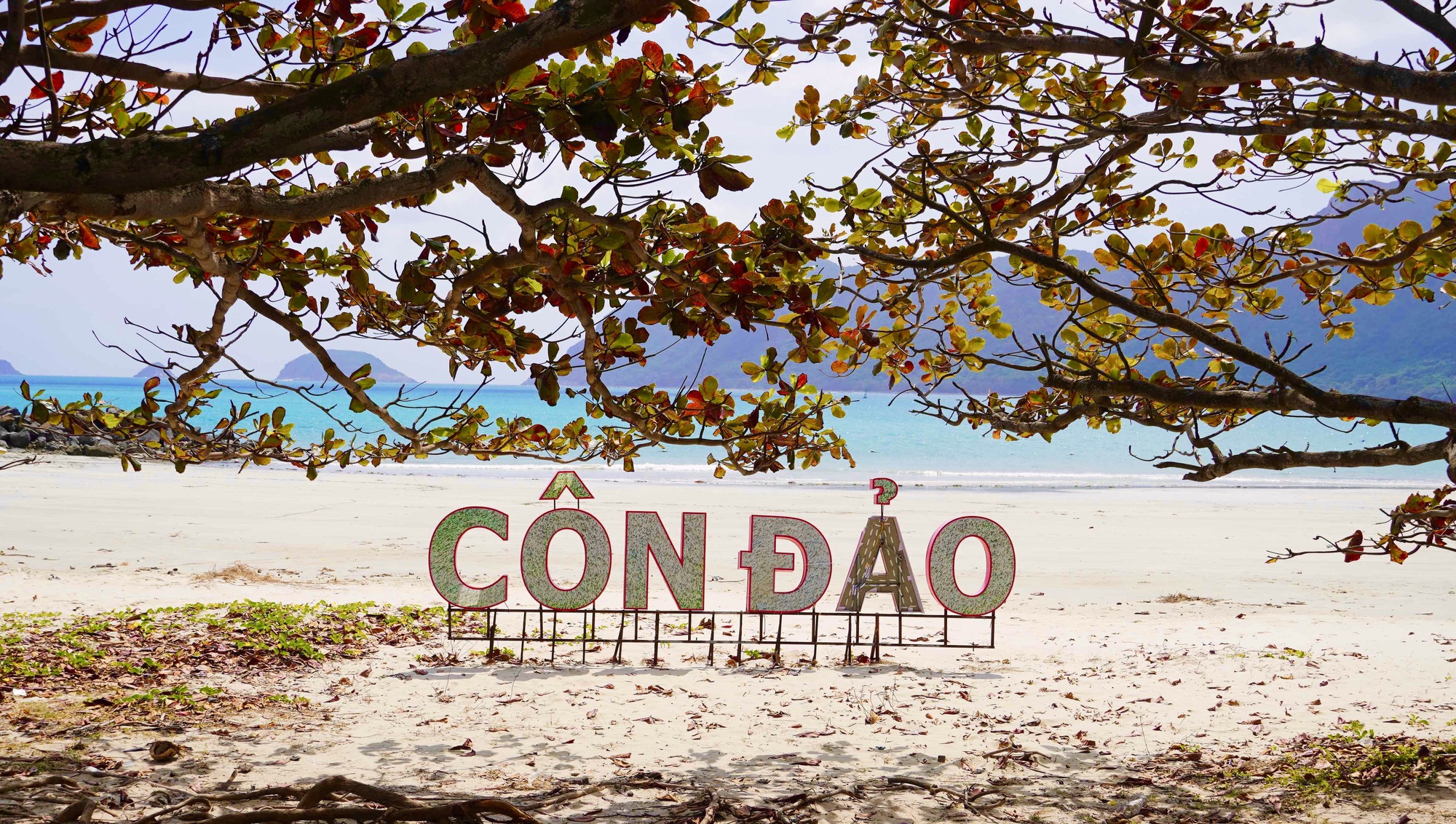 THANH HÓA – TÂN SƠN NHẤT – CÔN ĐẢO – HỒ CHÍ MINH - THANH HÓA    2N 2D